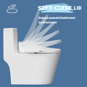 Intelligent Bidet Seat – Heated Seat, Warm Water Wash,  Self-Cleaning Nozzle